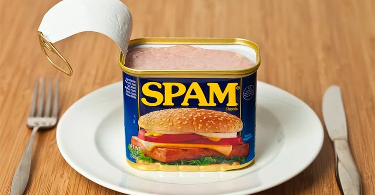 WordPress Spam